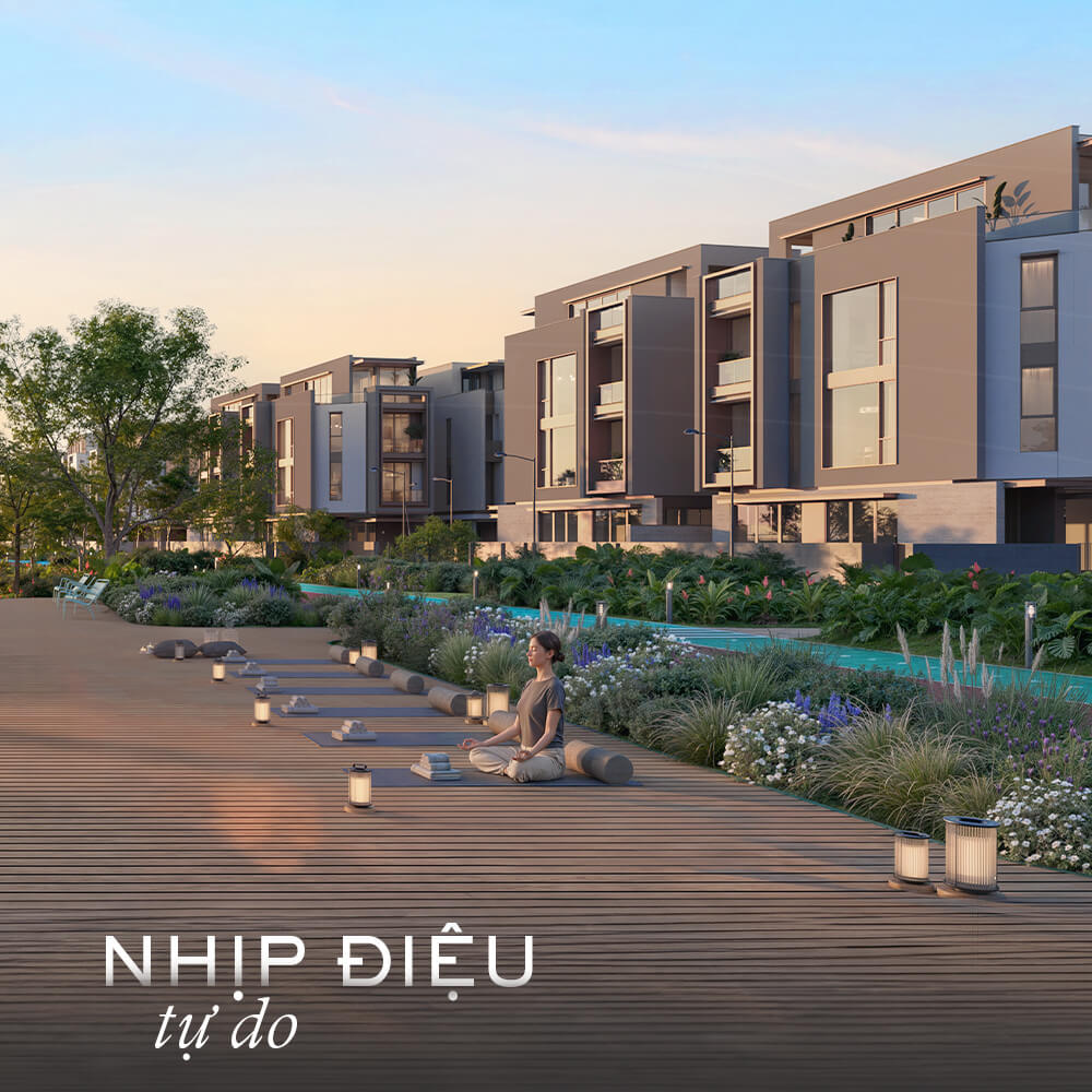 SOLA NHỊP ĐIỆU TỰ DO